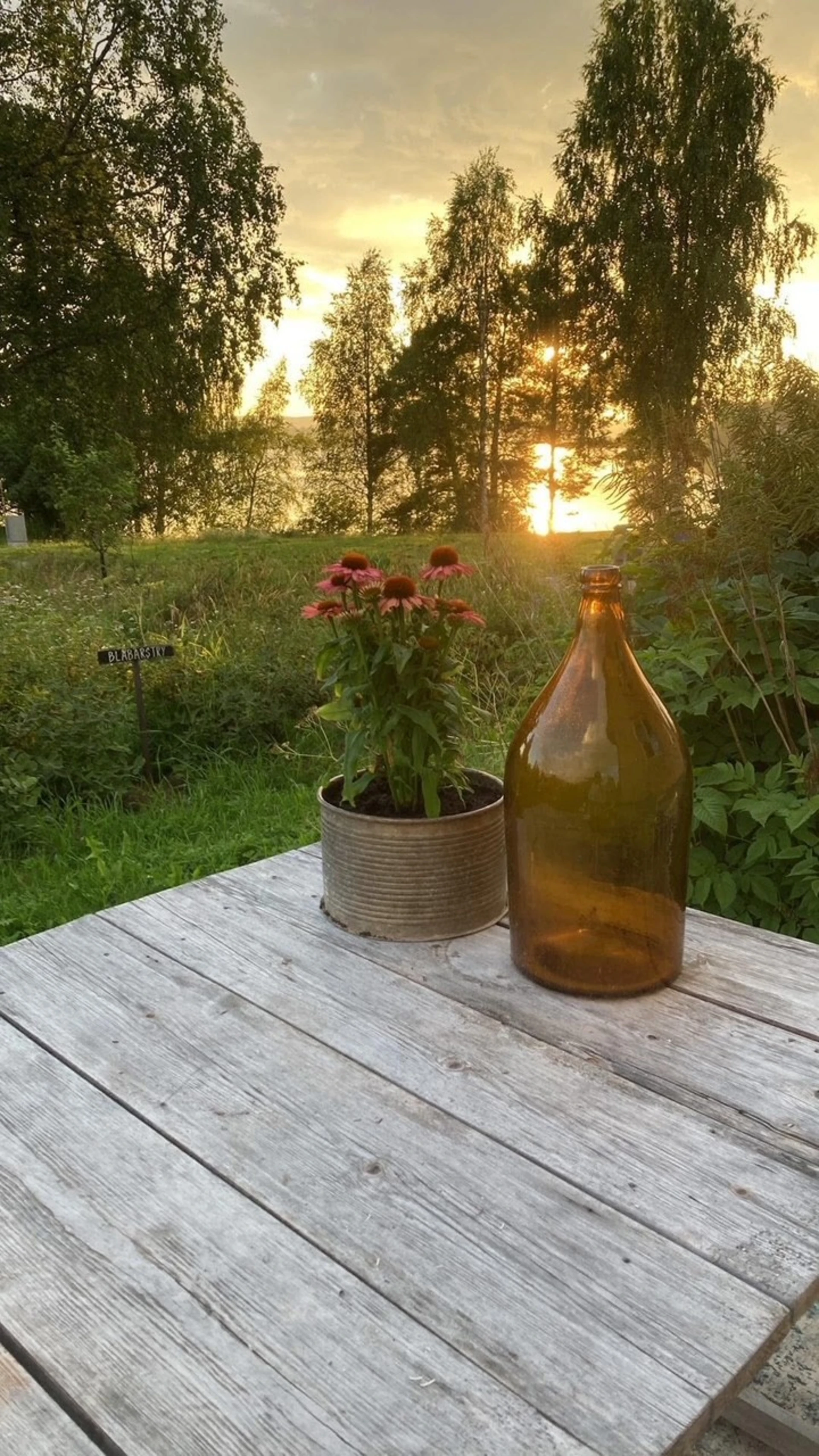 Säljarens egen bild