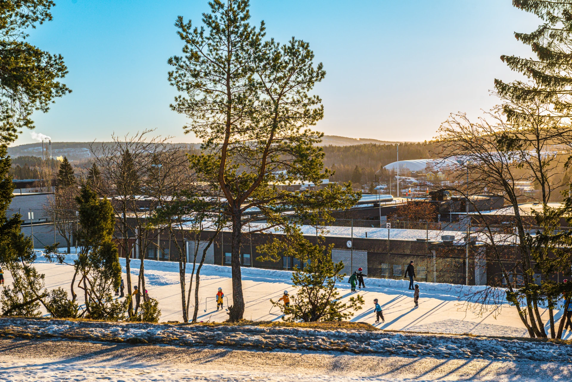 Bosvedjans skola