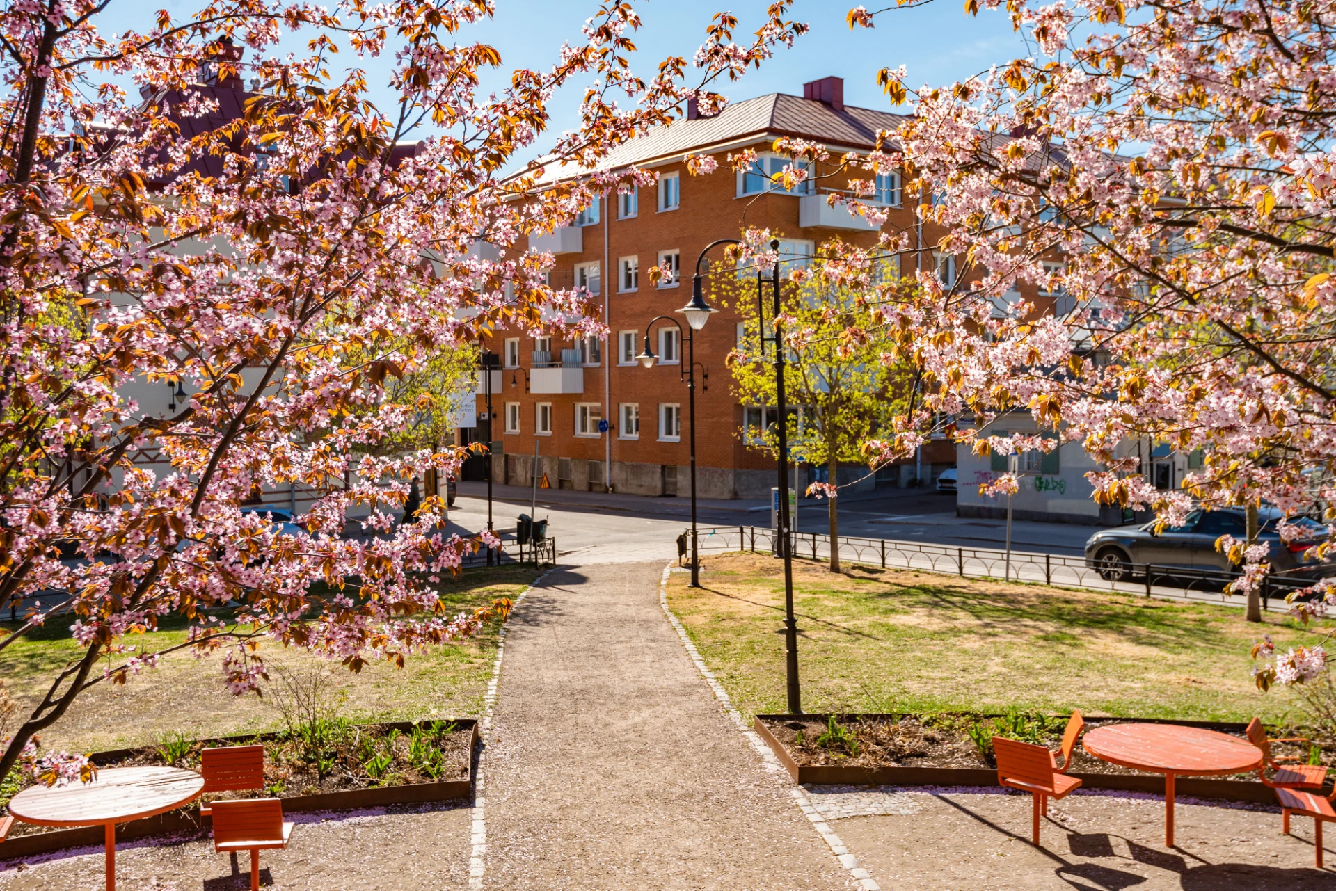 Hedbergska parken