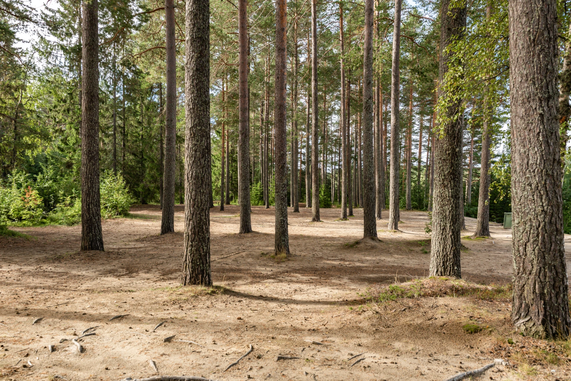 Lögdösjöns badplats