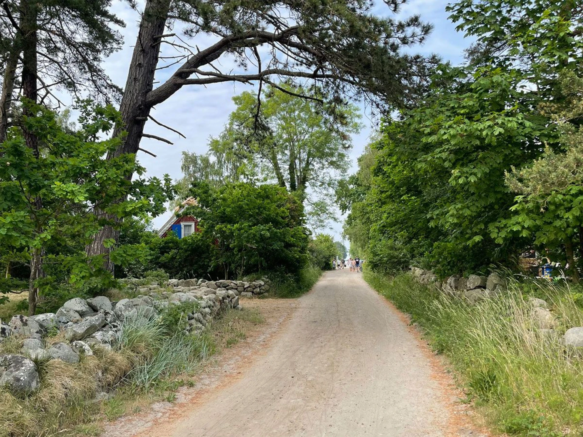 Lantliga omgivningar