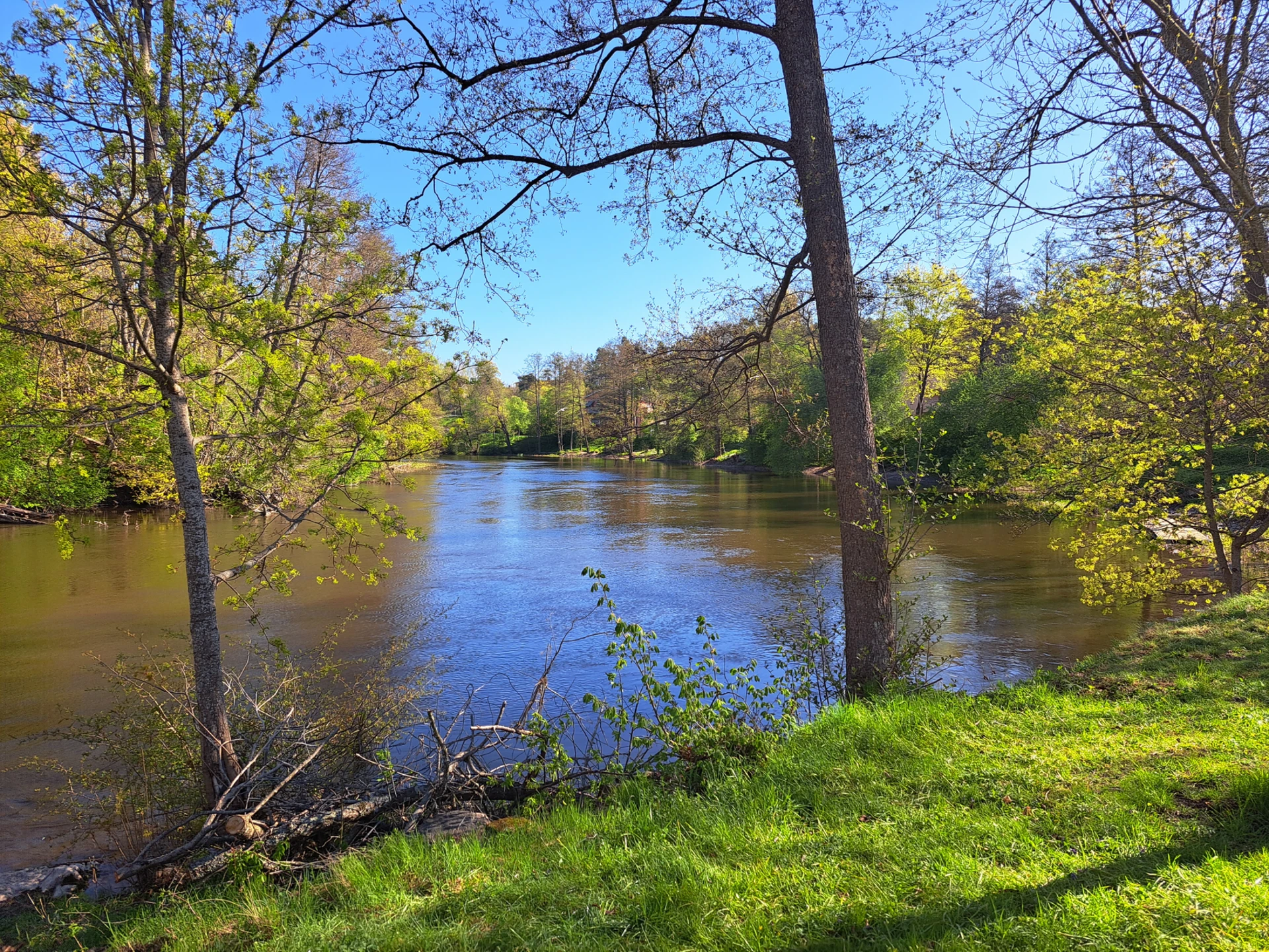 Säljarens bild