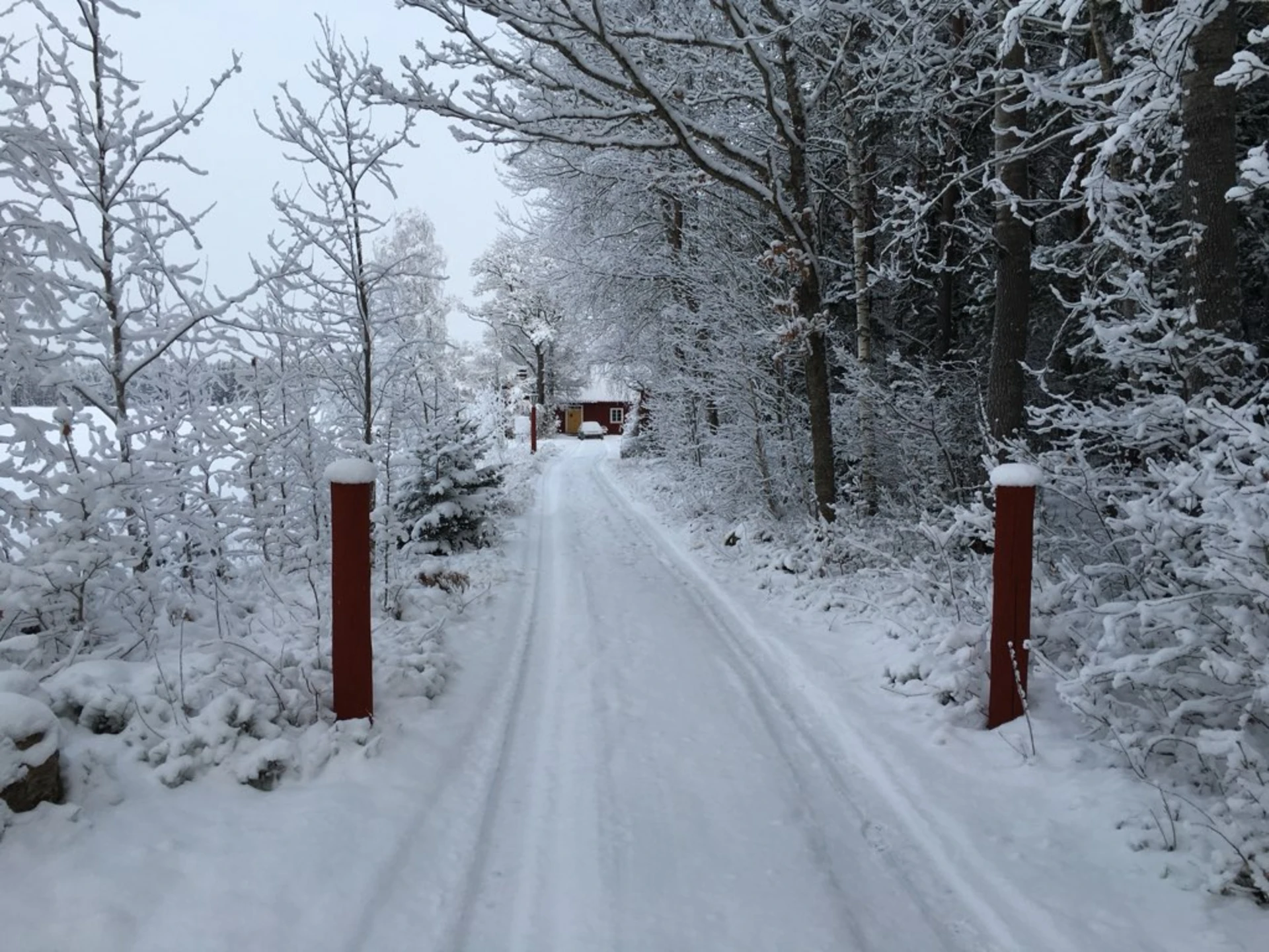 Säljarens bild