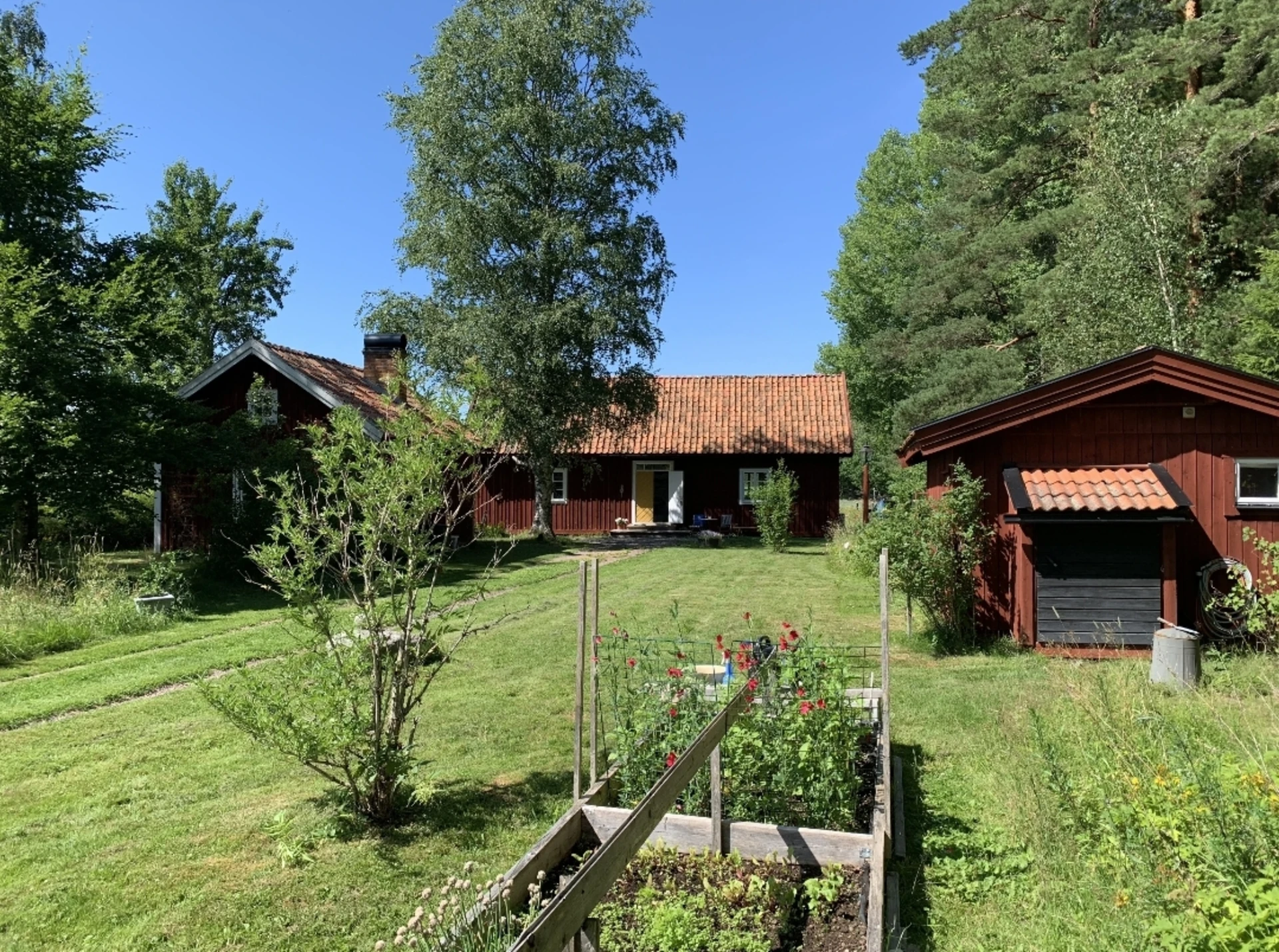 Säljarens bild