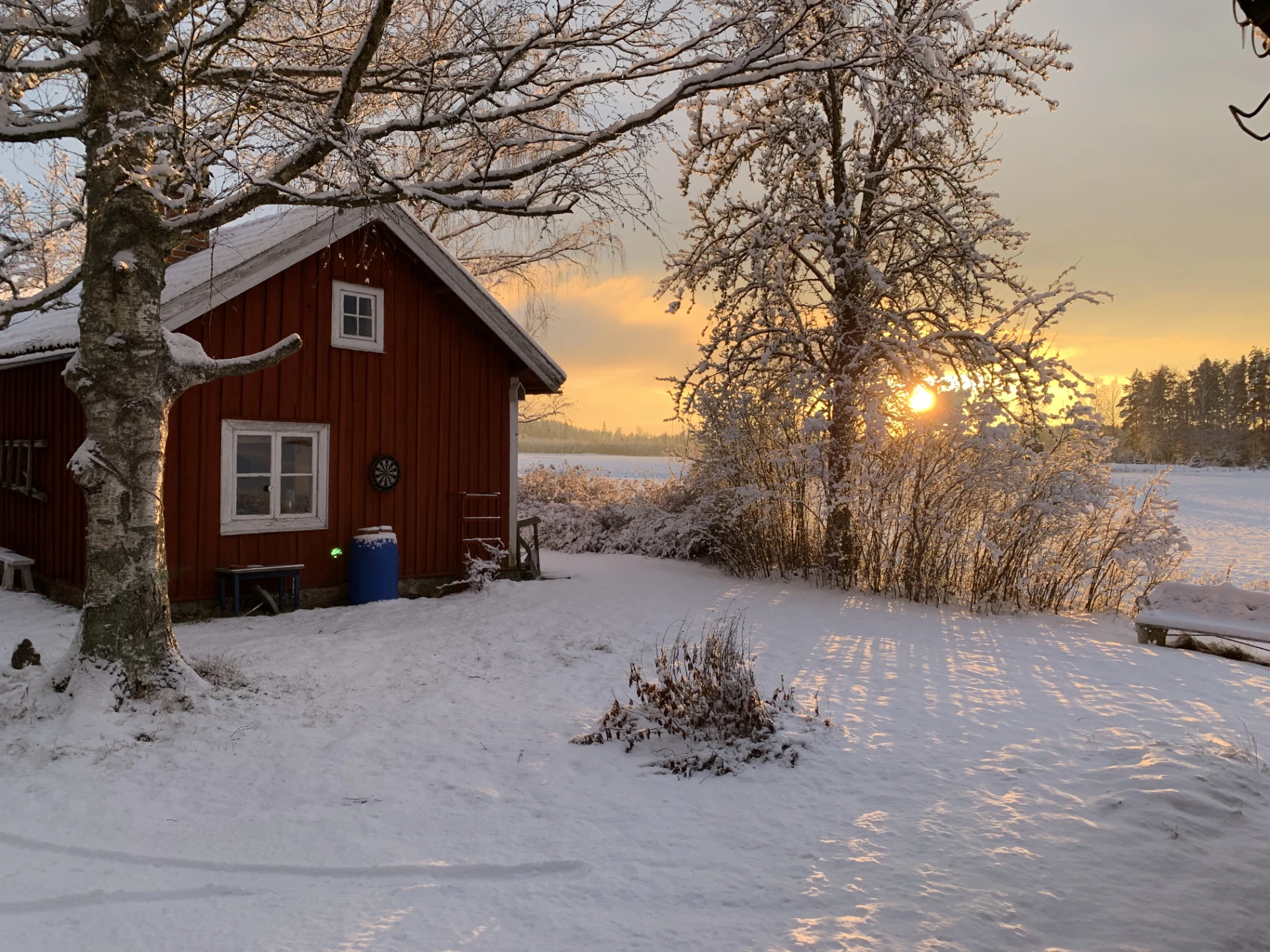 Säljarens bild