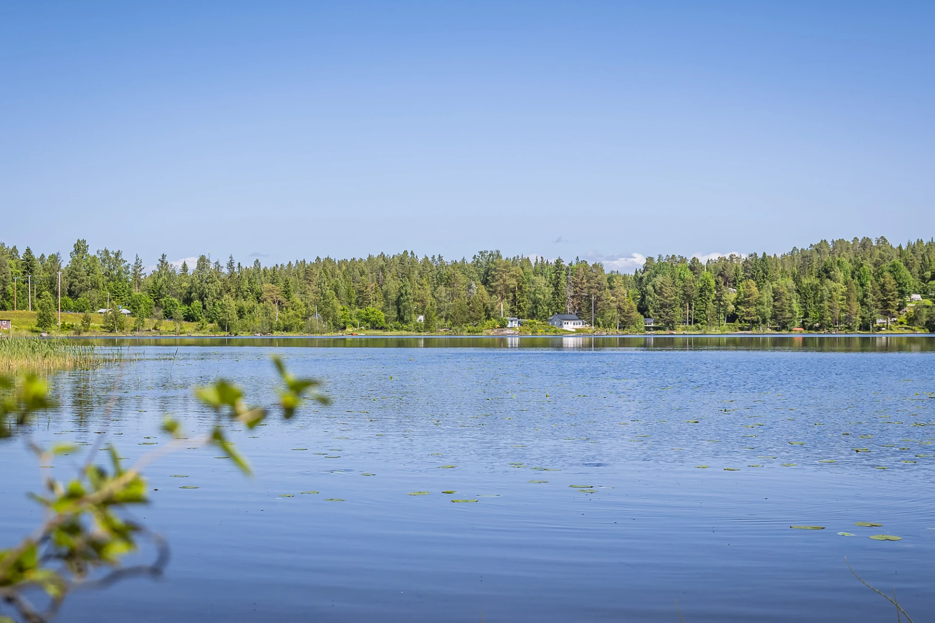 Sjön