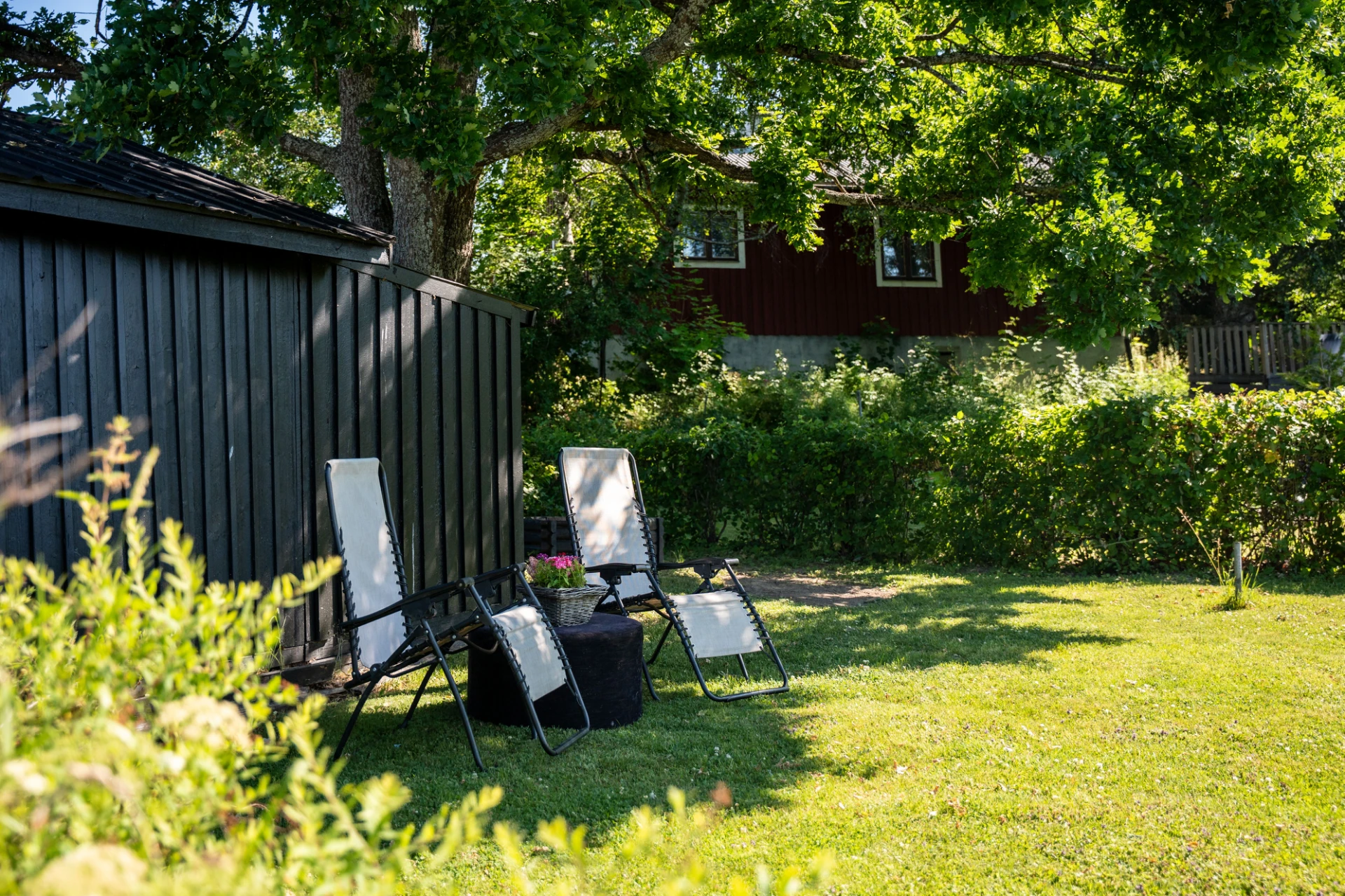 Trädgård
