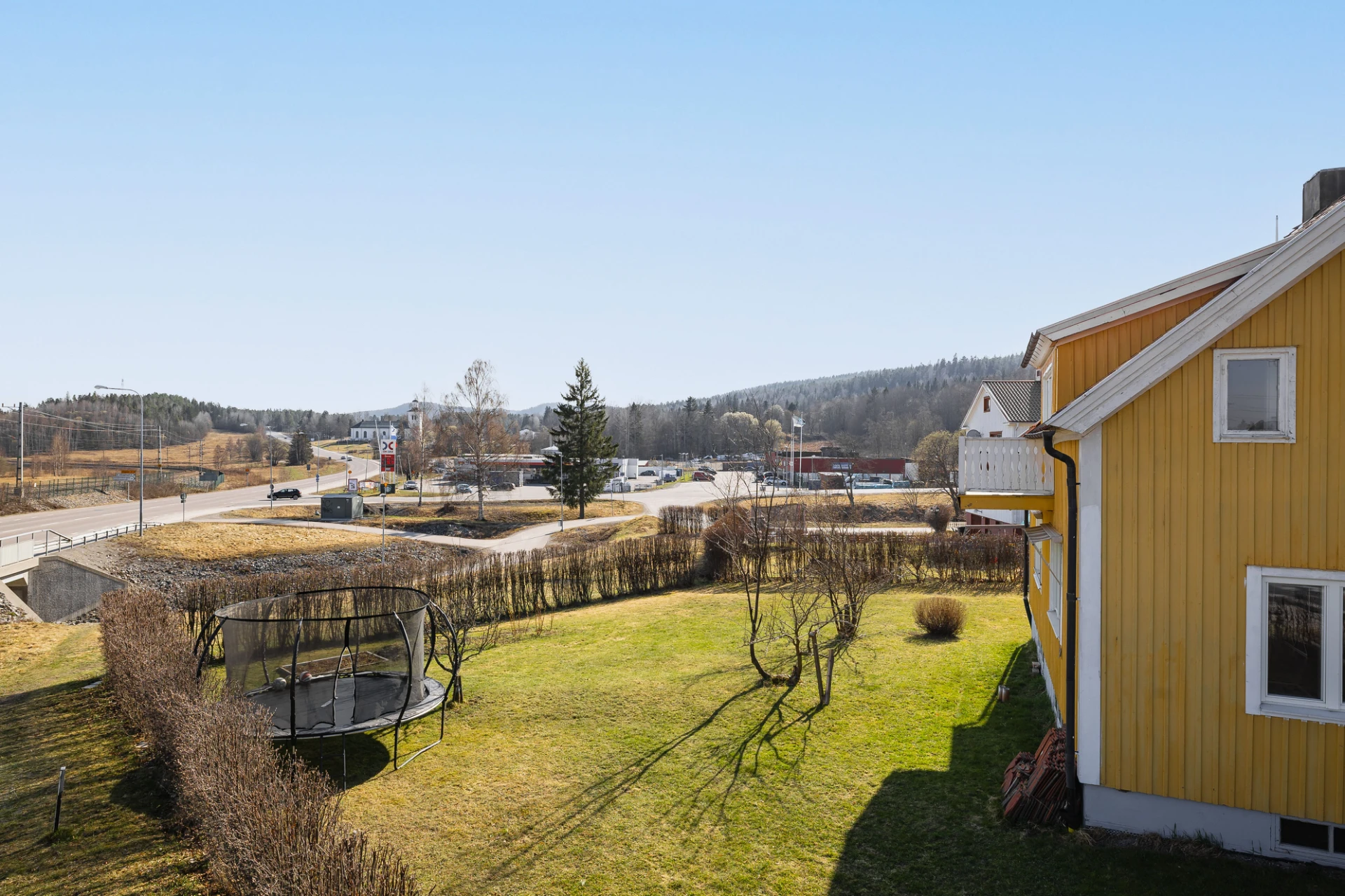 Trädgård