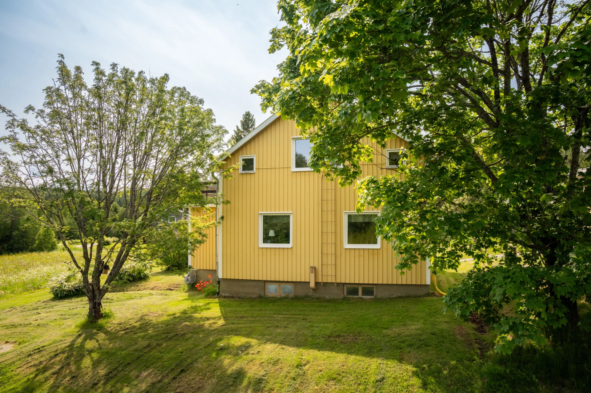 Trädgård