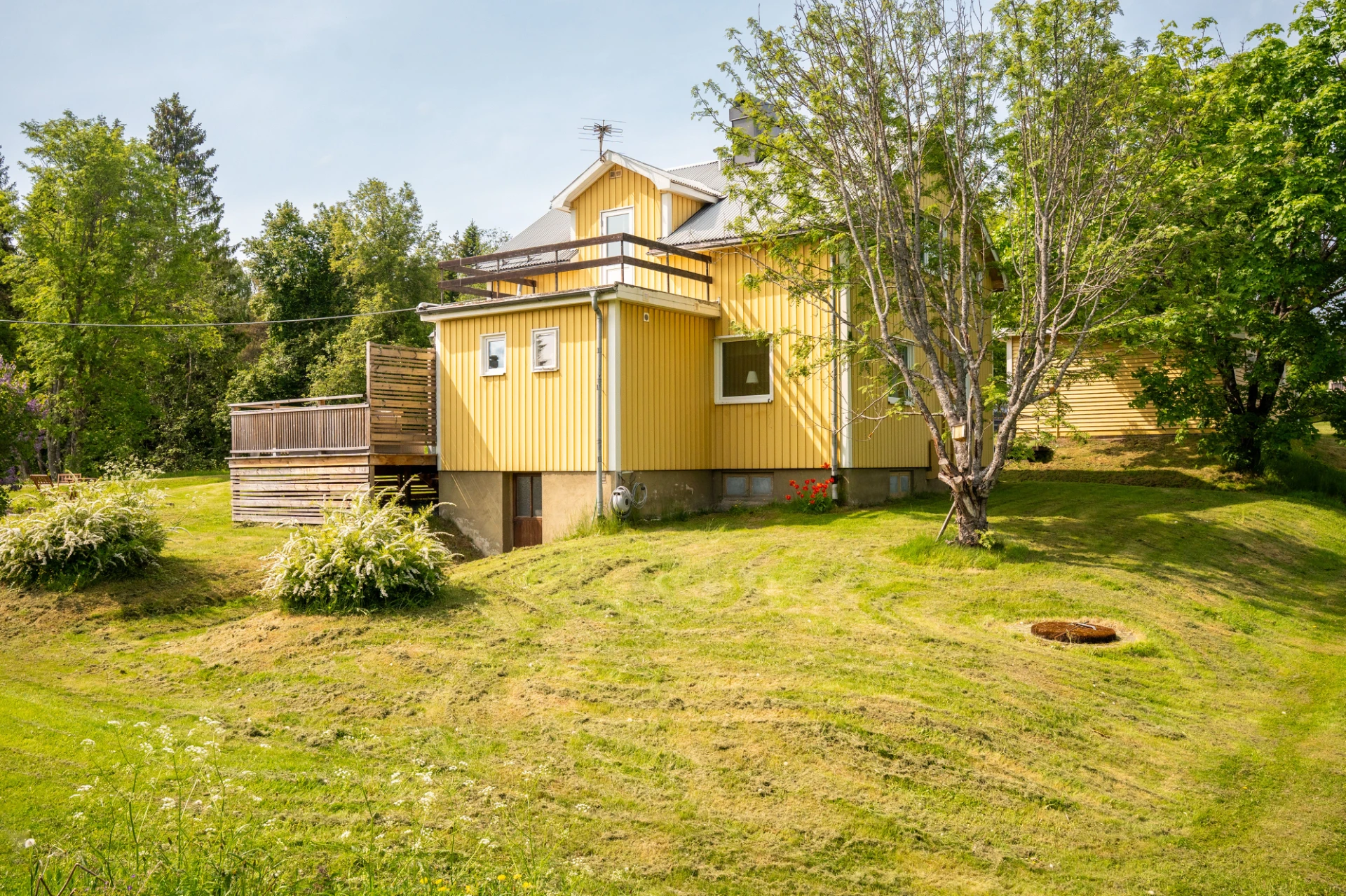 Trädgård