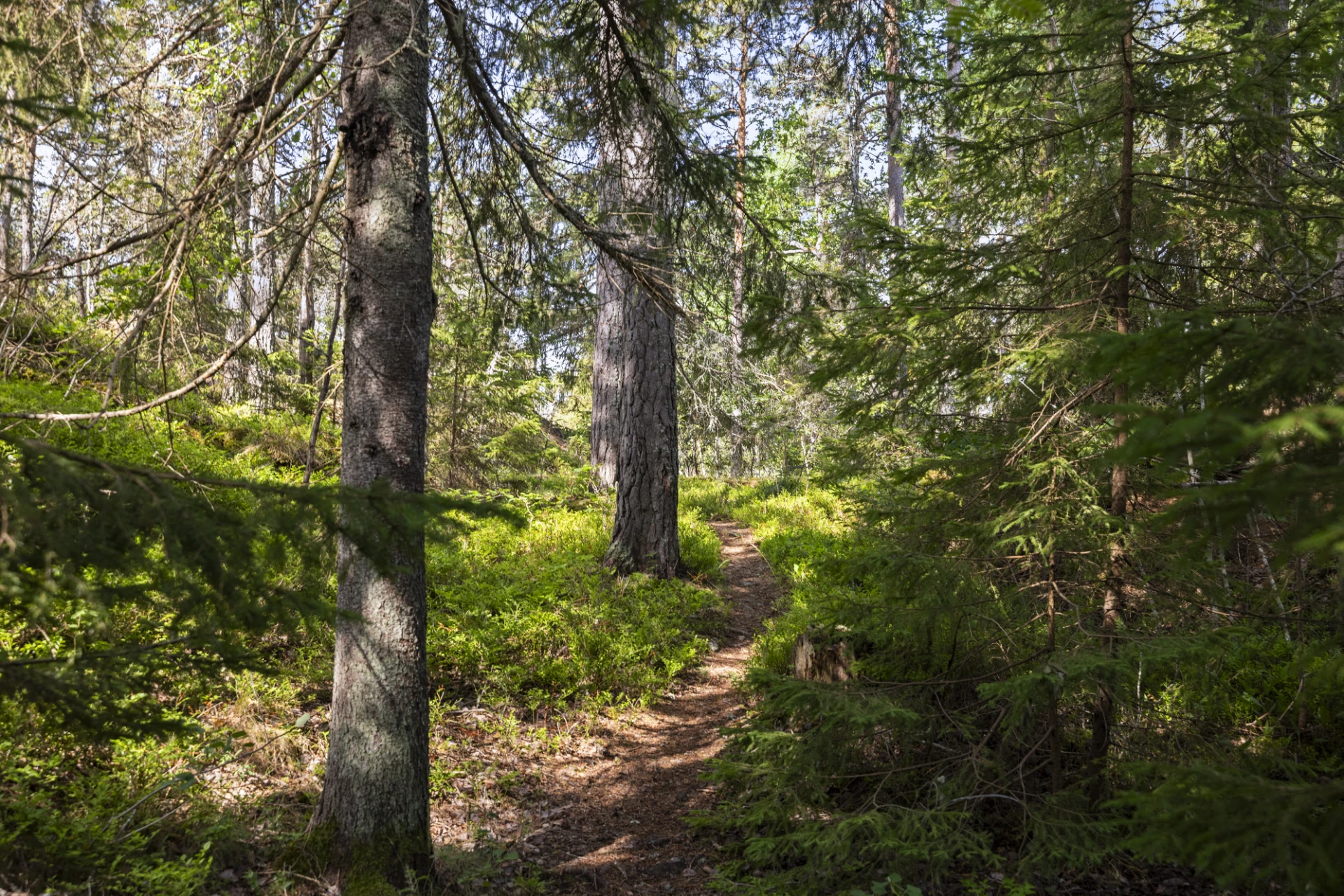 Stig ner till bad och båtplats
