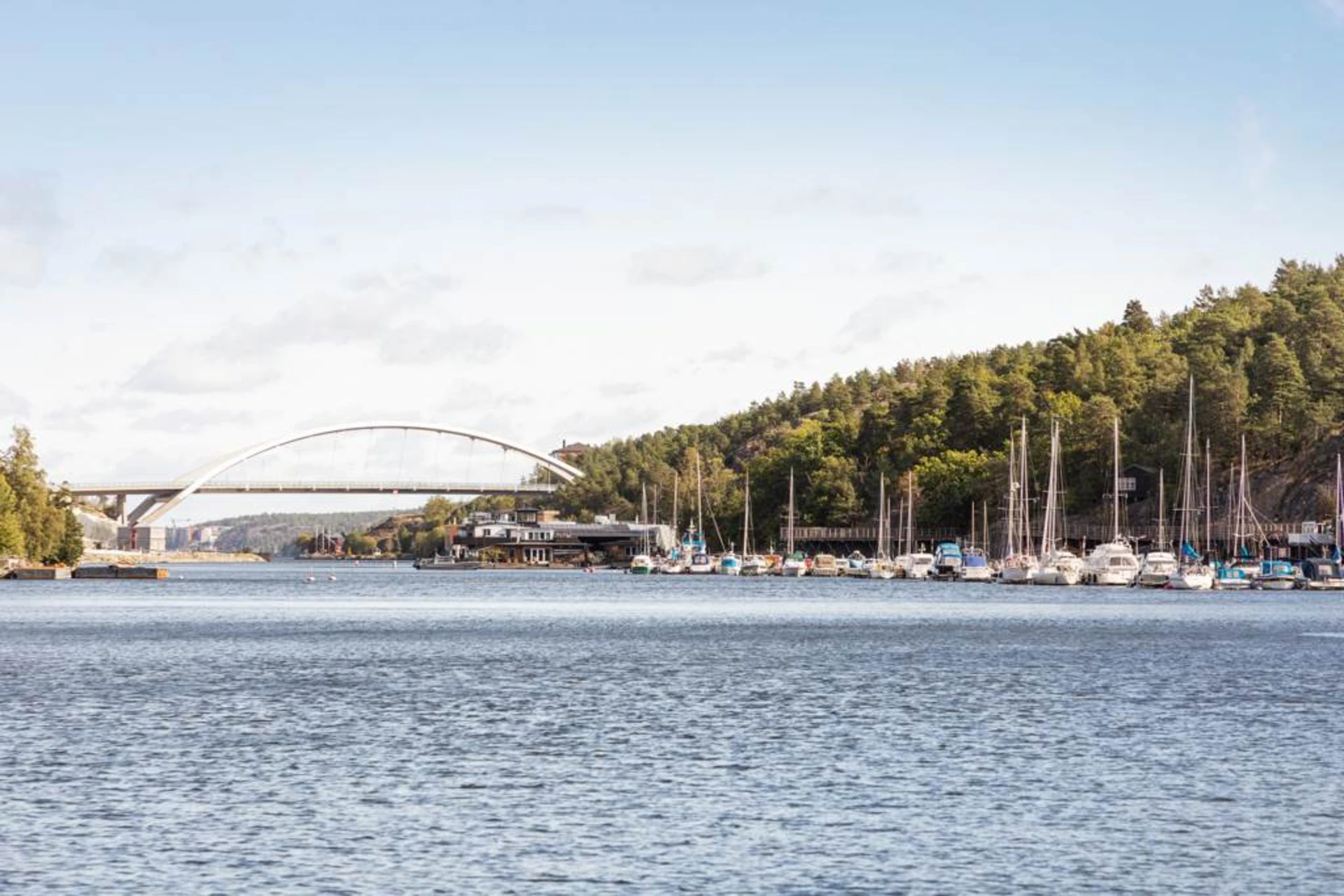 Svindersviken