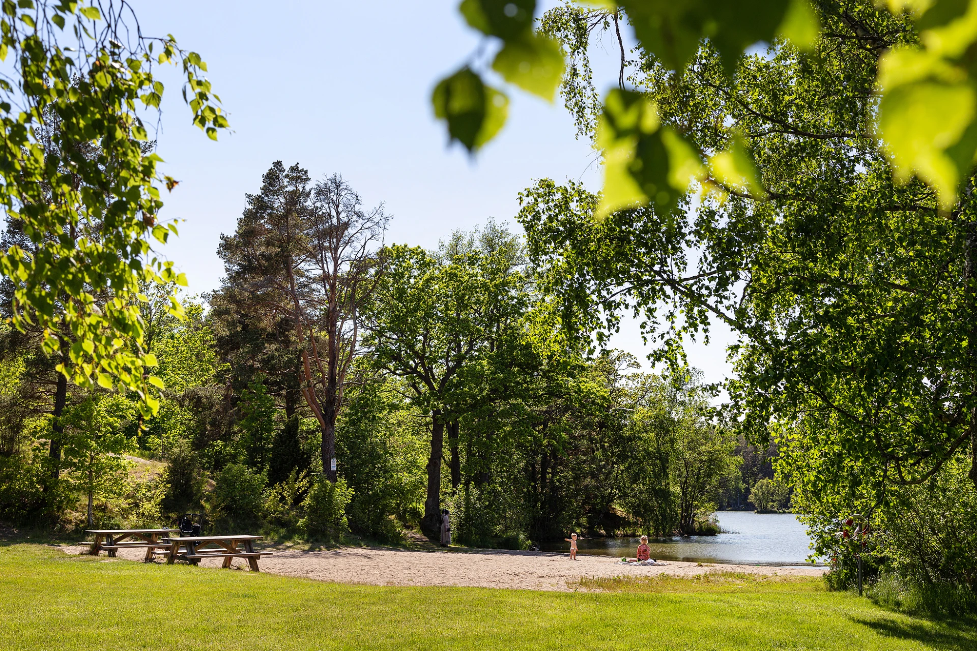 Ältasjön