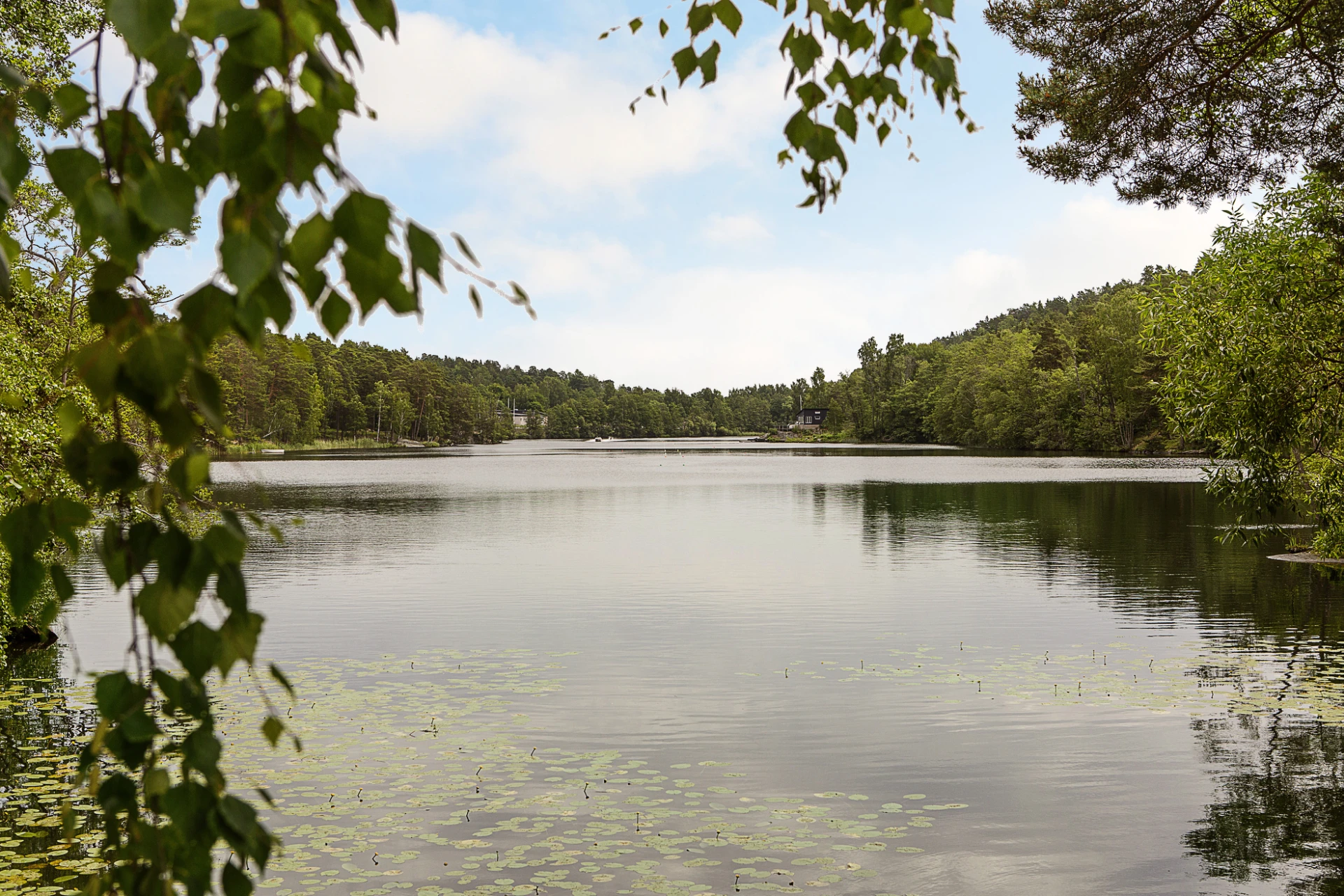 Långsjön