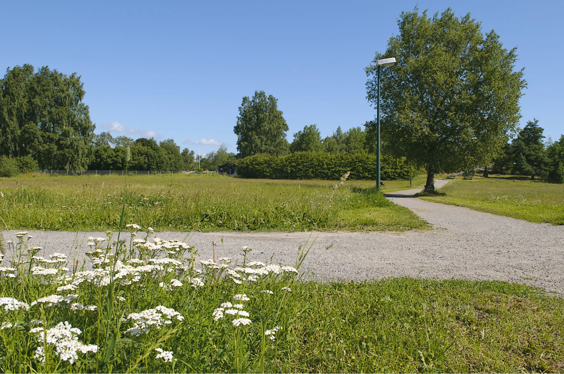 Hammarbyhöjden