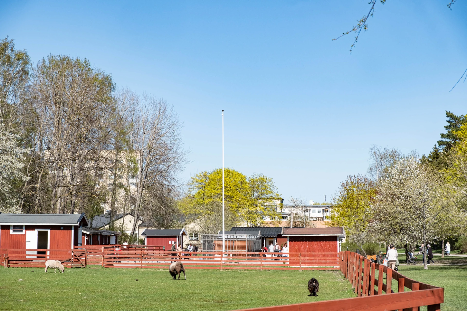 Djur vid Bandängens parklek