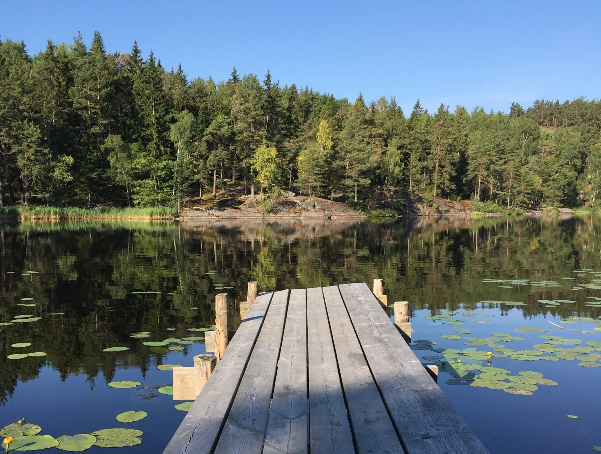 Ulvsjön