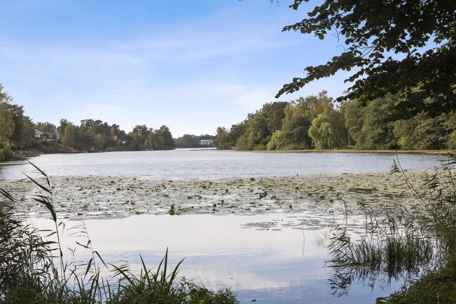 Långsjön, Älvsjö