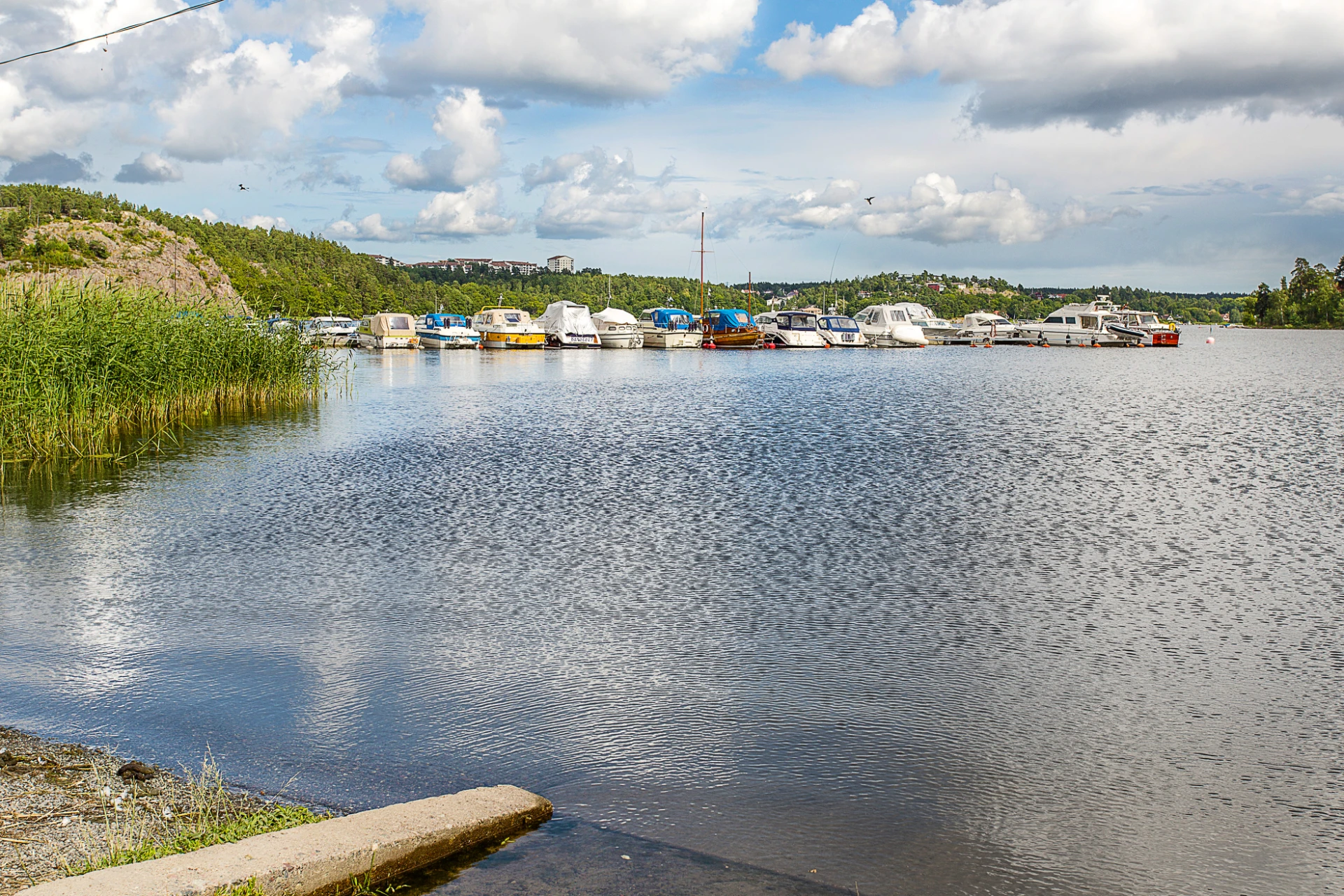 Edsviken