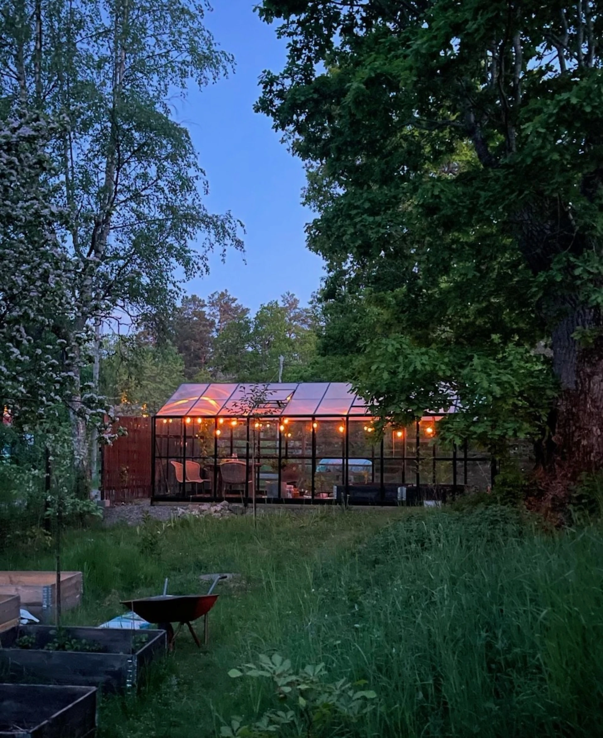 Växthus skymning privat bild
