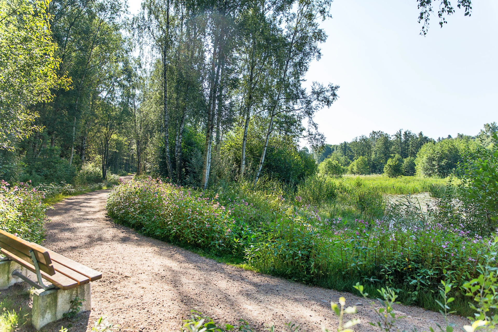 Fina promenadstråk i Hisingsparken