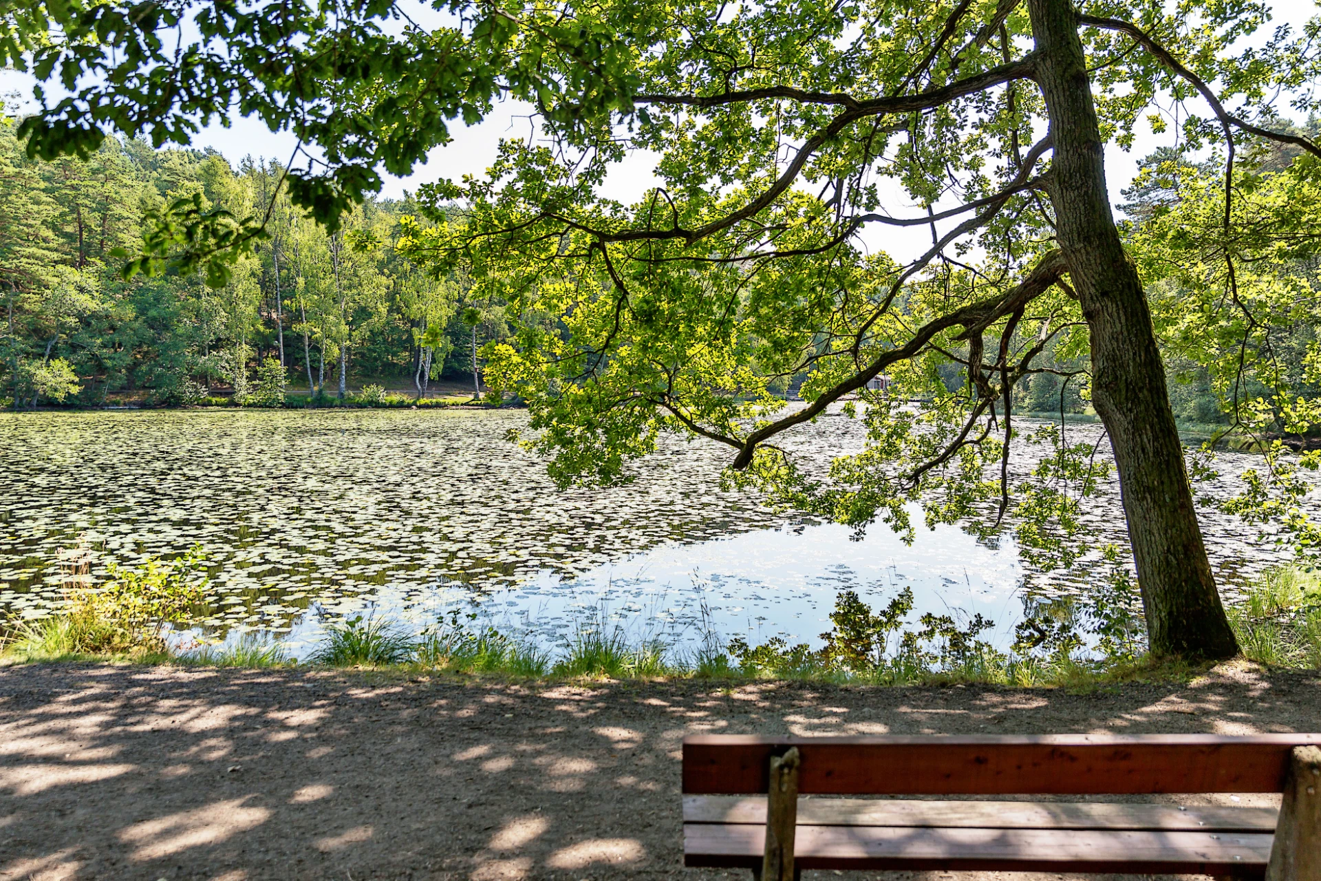 Fina promenadstråk i Hisingsparken