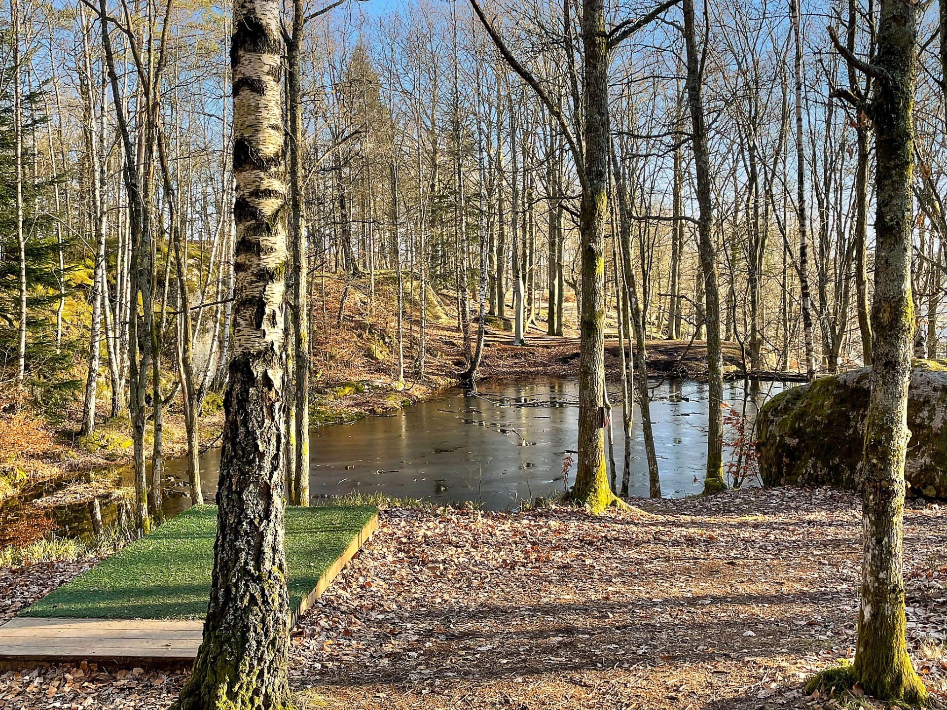 Det kanske mest utmanande hålet i helt nya Wendelsbergs Discgolf Park.