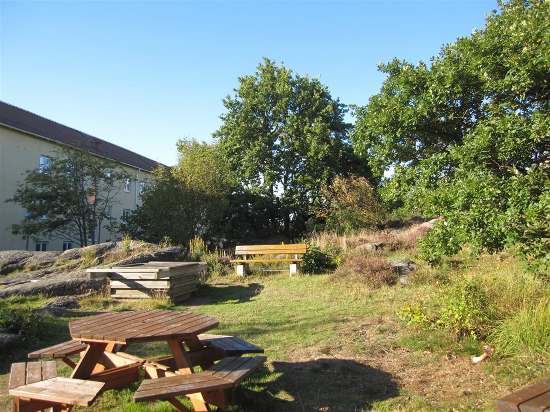 Föreningens grönområde