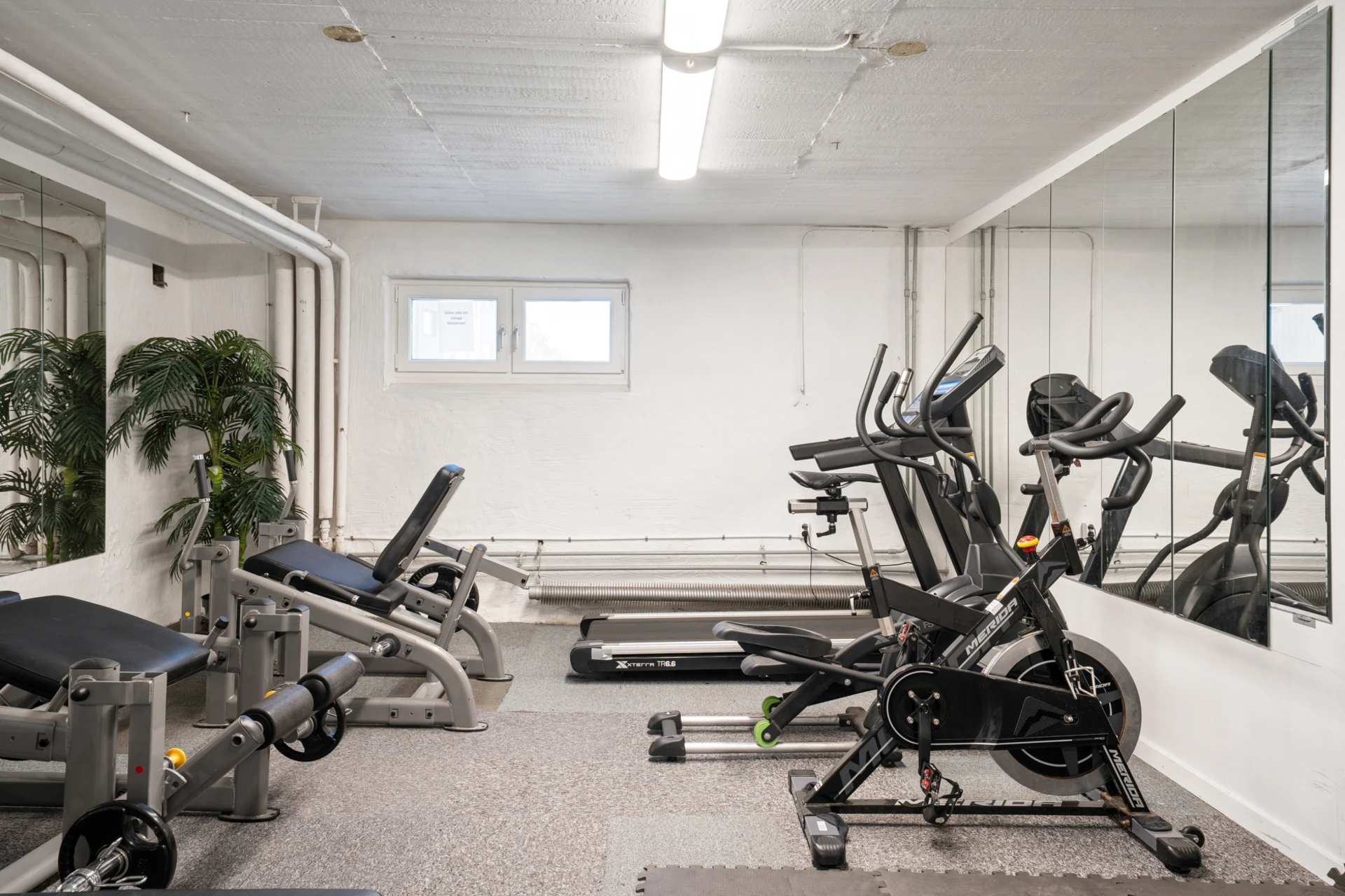 Föreningens gym