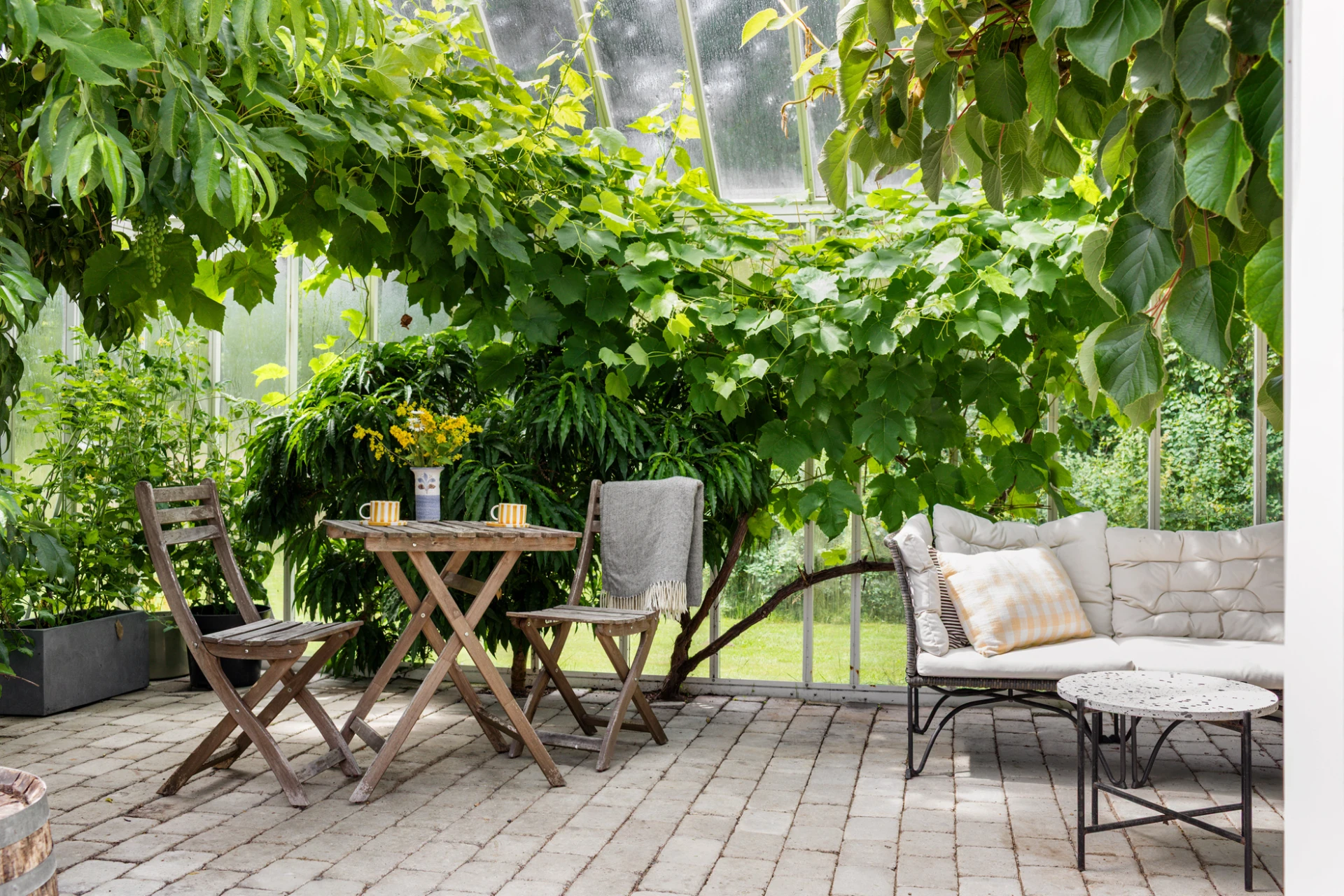 Orangerie