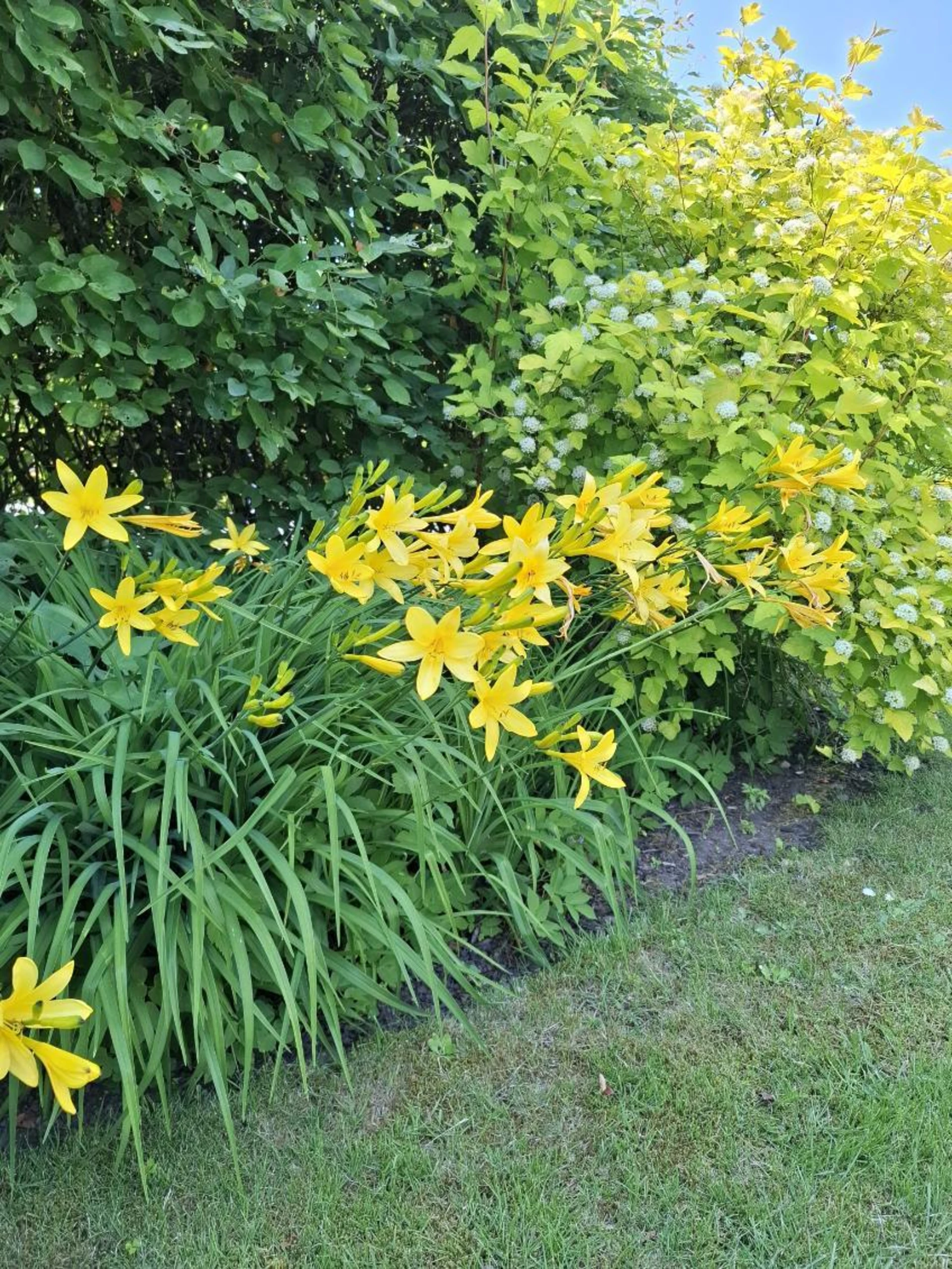 Säljares bilder